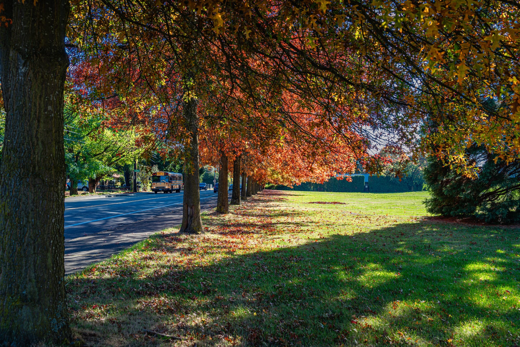 Appreciating the Changing Seasons