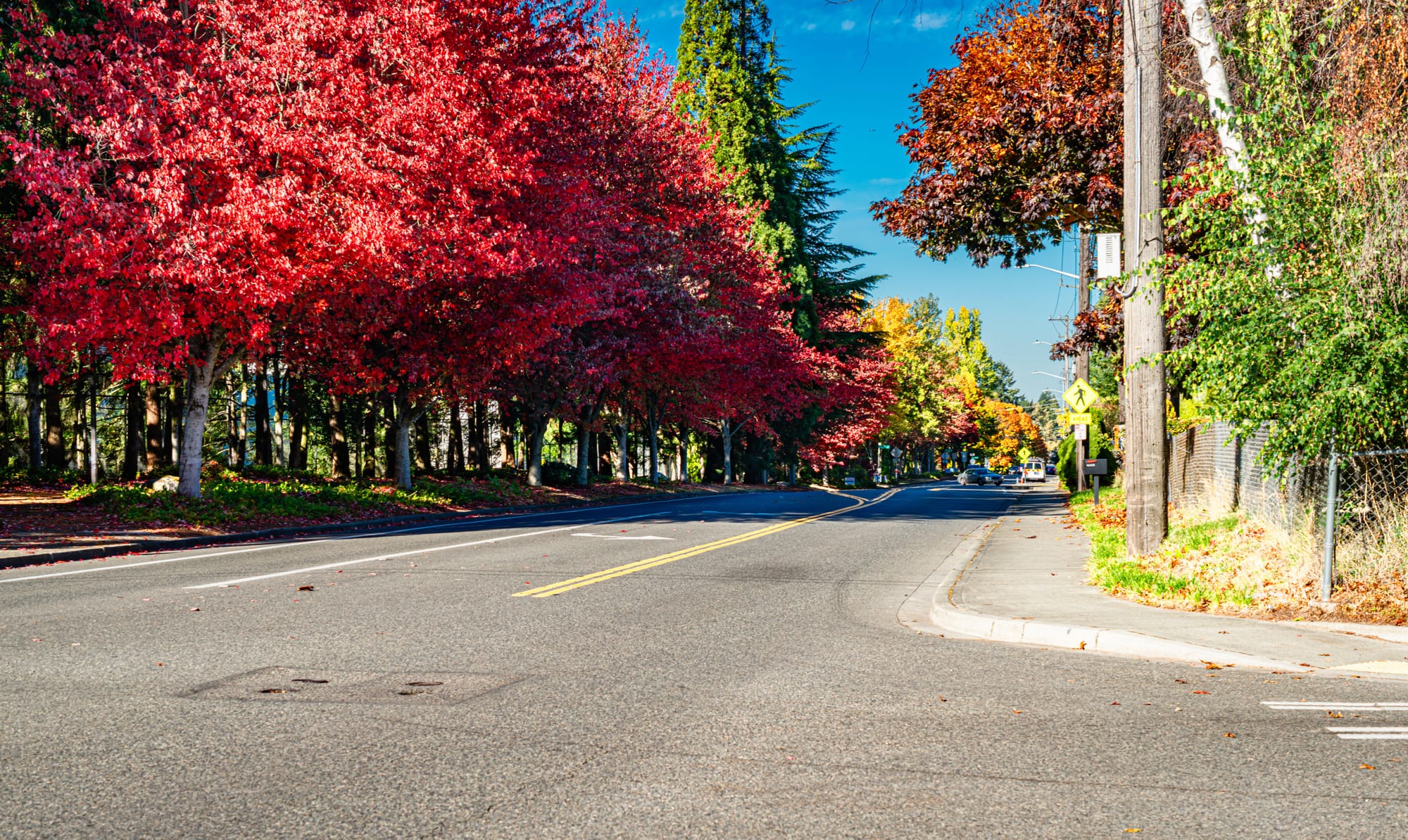 Appreciating the Changing Seasons