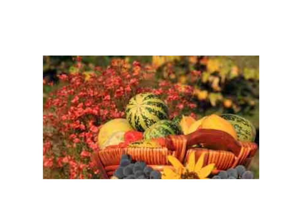 November Gardening Tasks: Putting the Garden to Bed