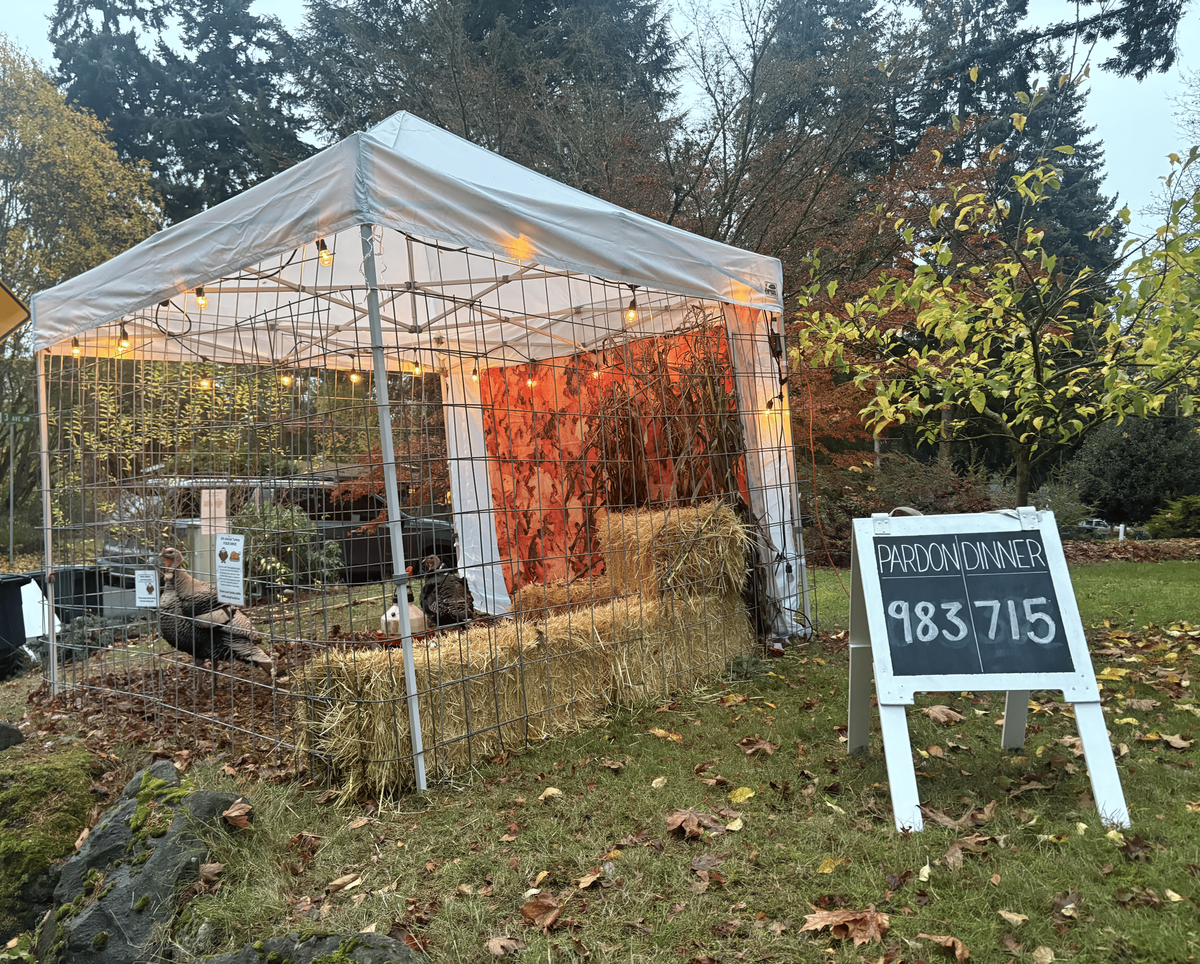 Highline Area Food Banks Welcome Donations as Thanksgiving Nears