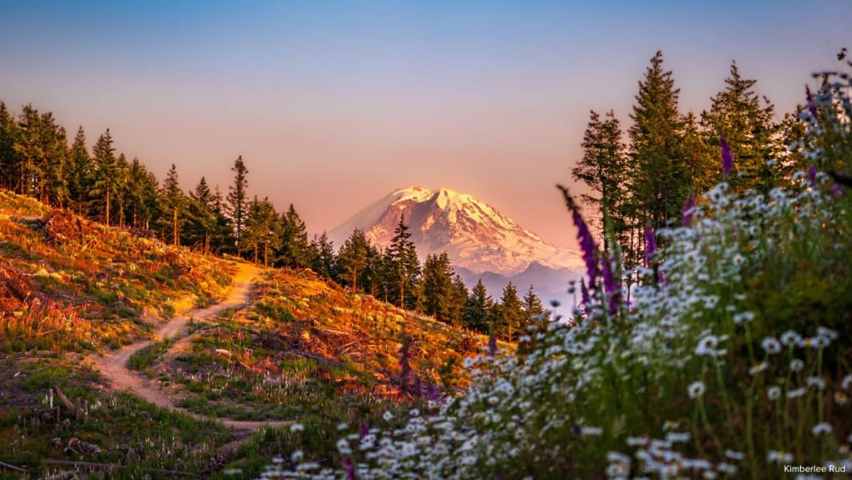 Crescendo 2026: A Symphonic Celebration of Washington Landscapes