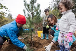 Burien Offers Ways for Neighbors to Care for Their Environment