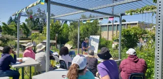 Community Urged to Act as ‘Shark Garden’ Faces Possible Removal