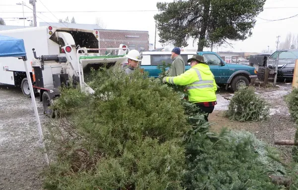 Bring your Christmas Tree: Boy Scouts to Host Recycling Event: Jan 3-4