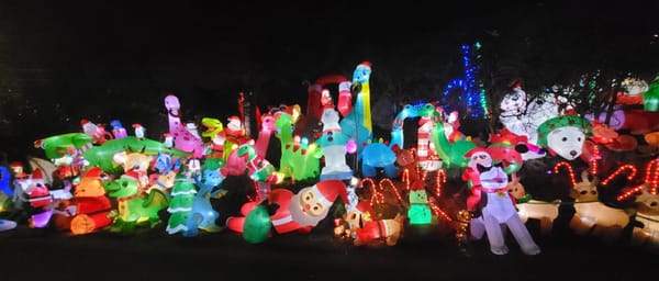 Amazing Winter Display in Gregory Heights Covers House